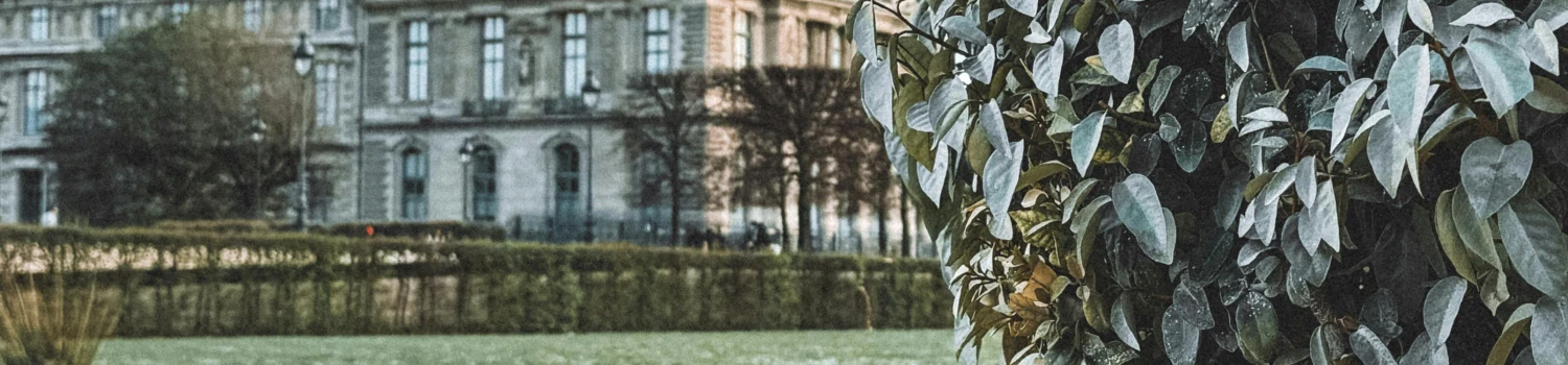 Photo de couverture de Claudia Salinas Soto