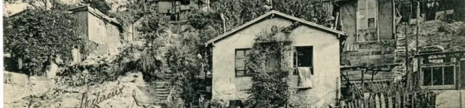 Photo de couverture de ALAIN TESTARD