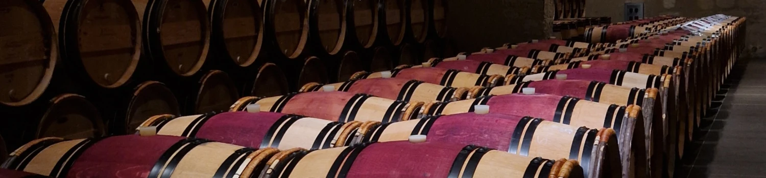 Photo de couverture de Marianne LARROZE