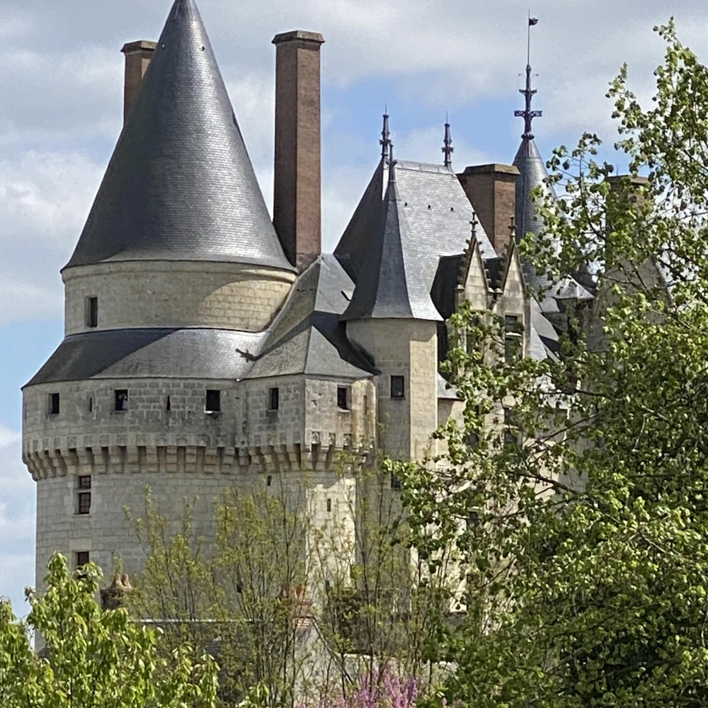 Photo de présentation de Château de Langeais - Château Fort, Château de Plaisance, ou autre Chose ?