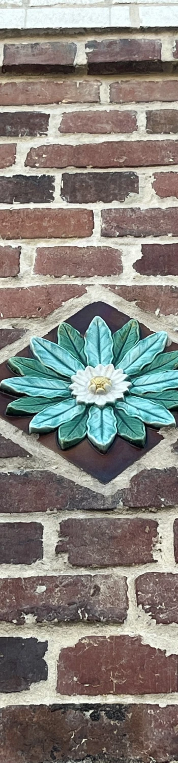 Photo de couverture de Bérénice Bénard