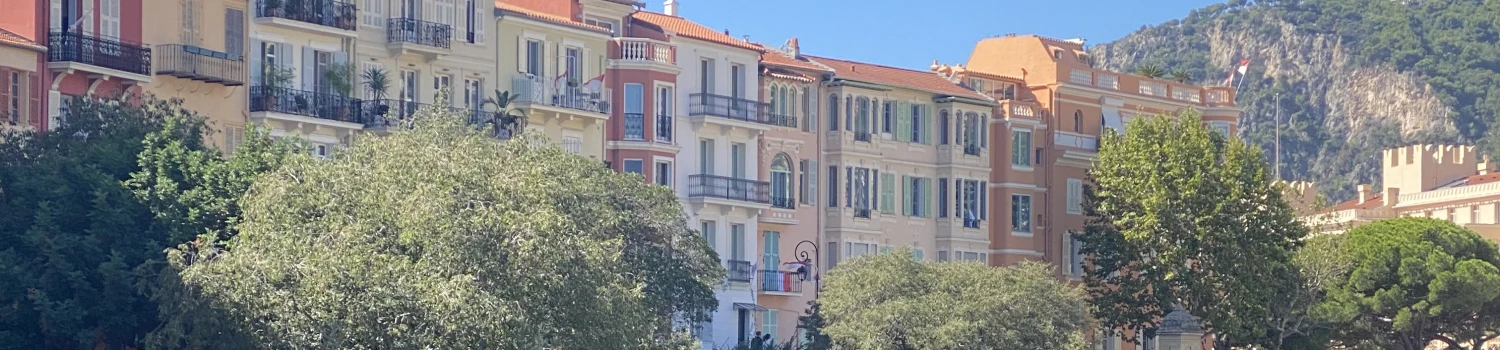 Photo de couverture de Philippe BORSARELLI