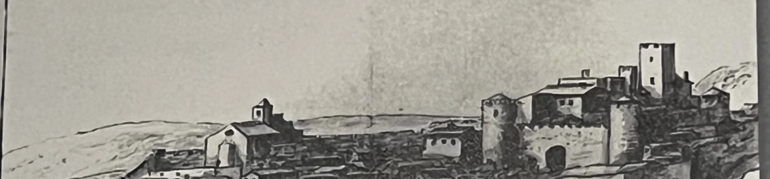 Photo de couverture de vincent pasquinelli