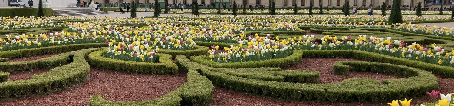 Photo de couverture de Susanne VAN DUIJNEN