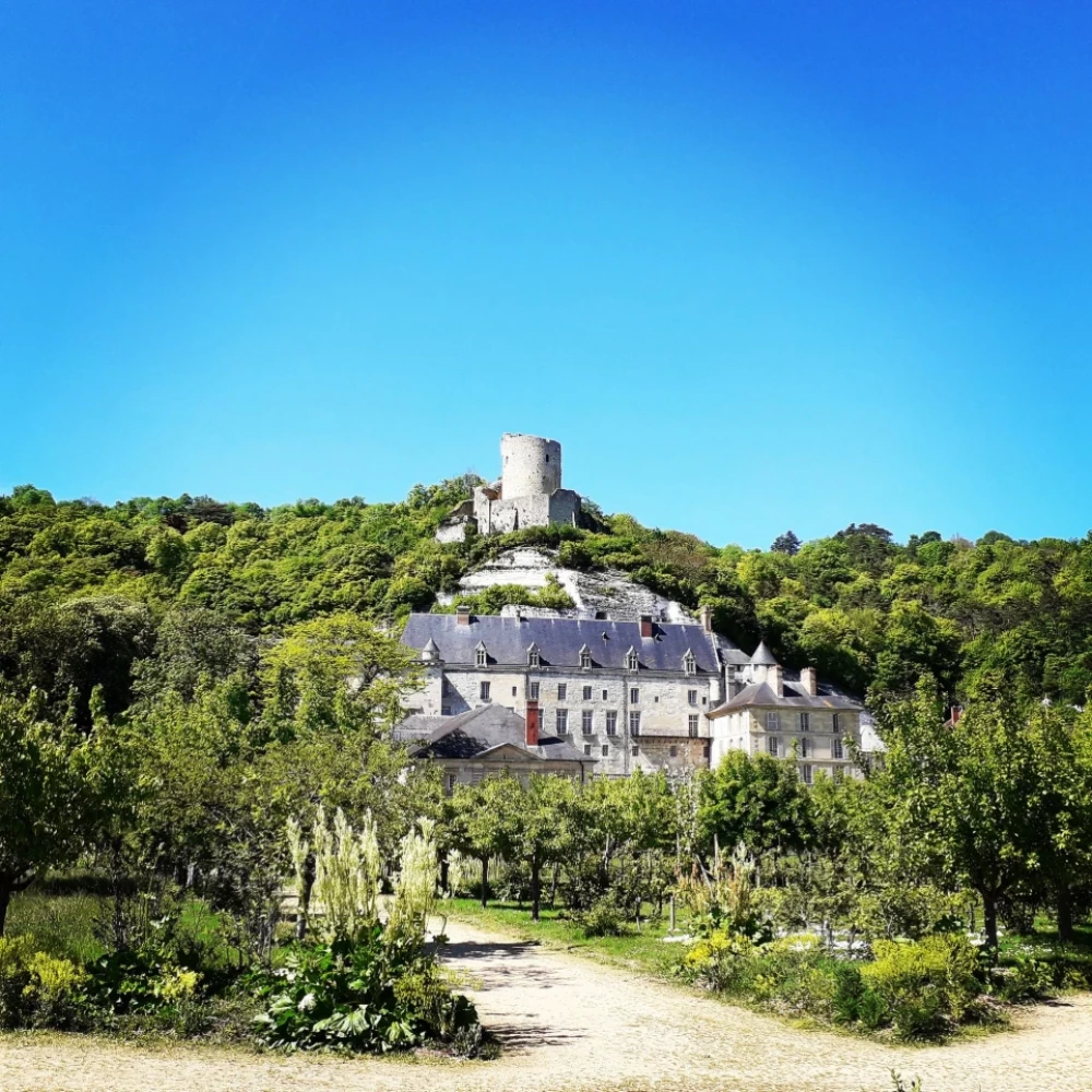 Photo de présentation de La Roche-Guyon et La Seconde Guerre mondiale, l'histoire du village le plus occupé de France