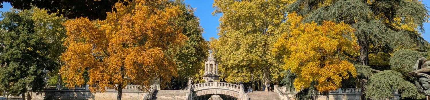 Photo de couverture de Sarah Tort