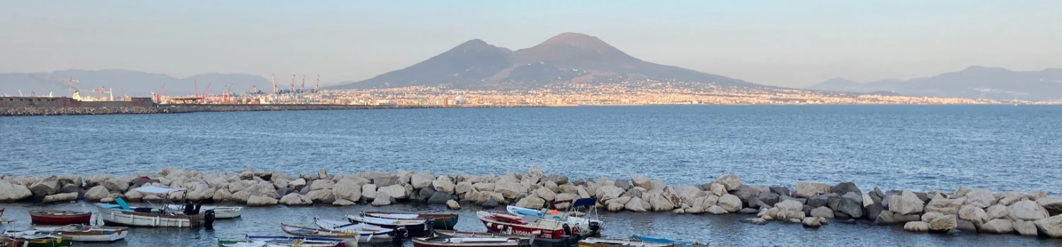 Photo de couverture de François Vulliet