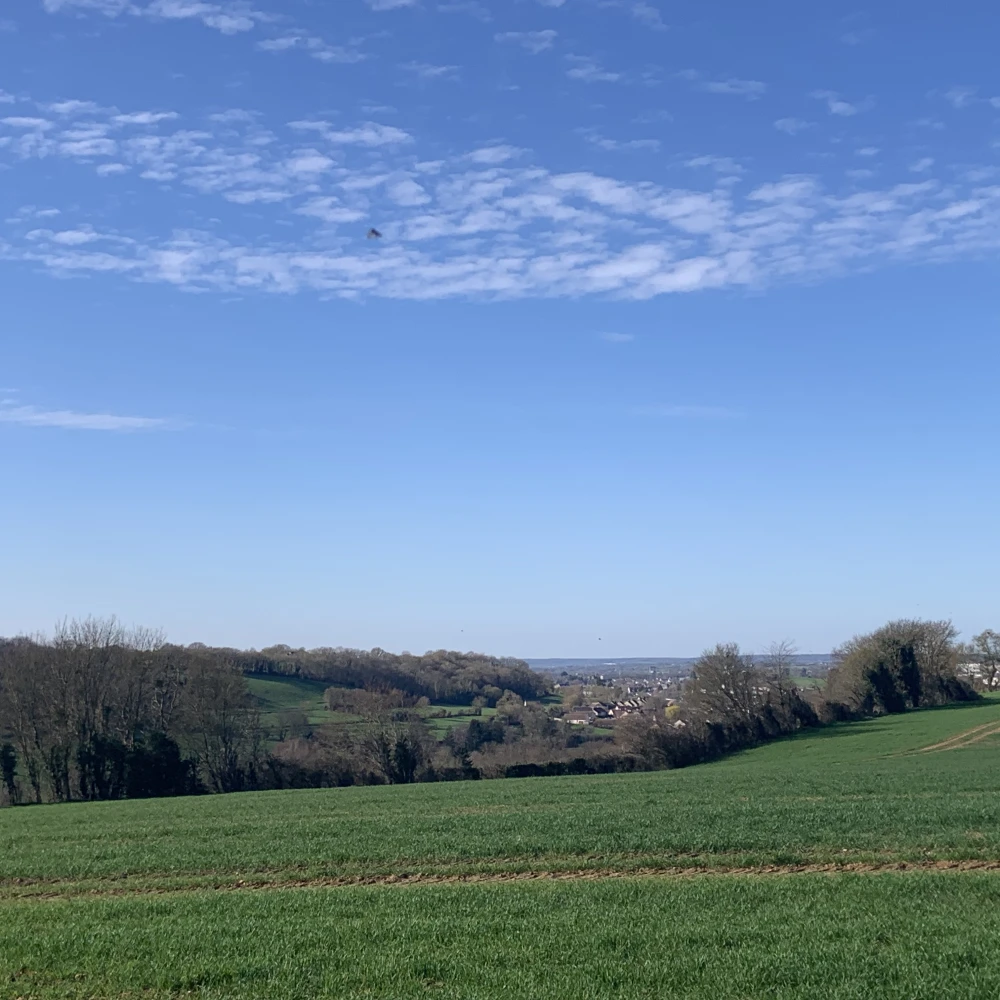Photo de présentation de la visite de Delphine Naveau