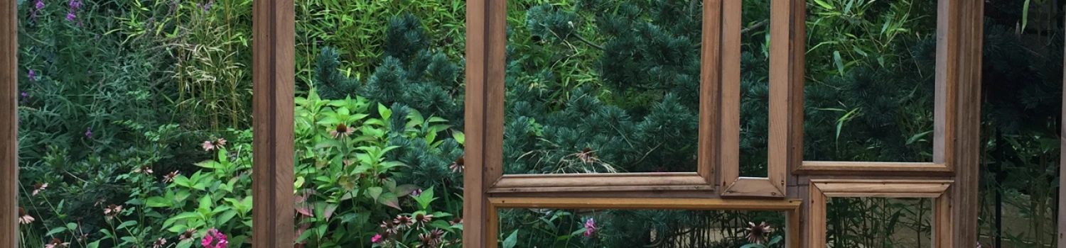 Photo de couverture de Pascale Sicard