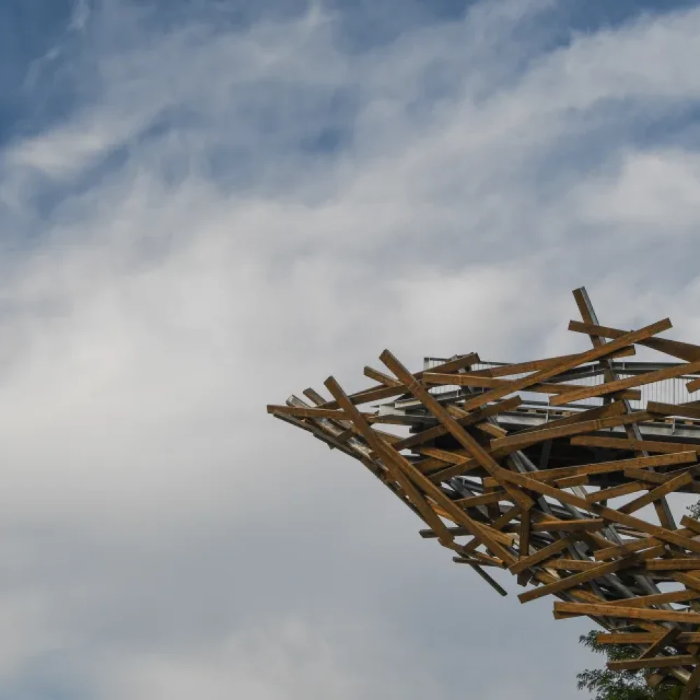 Photo de présentation de la visite de Thomas Grison