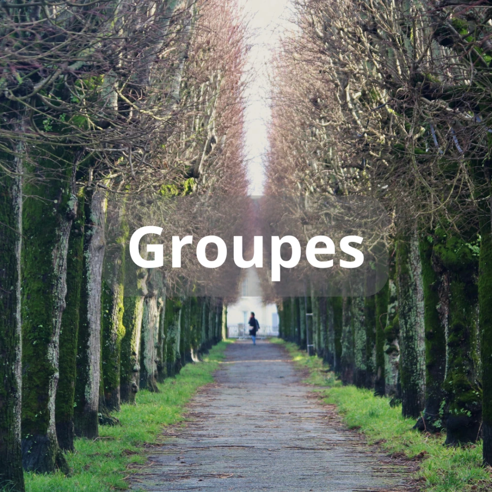 Photo de présentation de la visite de Lucile Garrigue