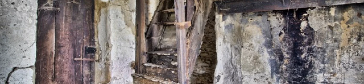 Photo de couverture de stéphanie Gibeaux