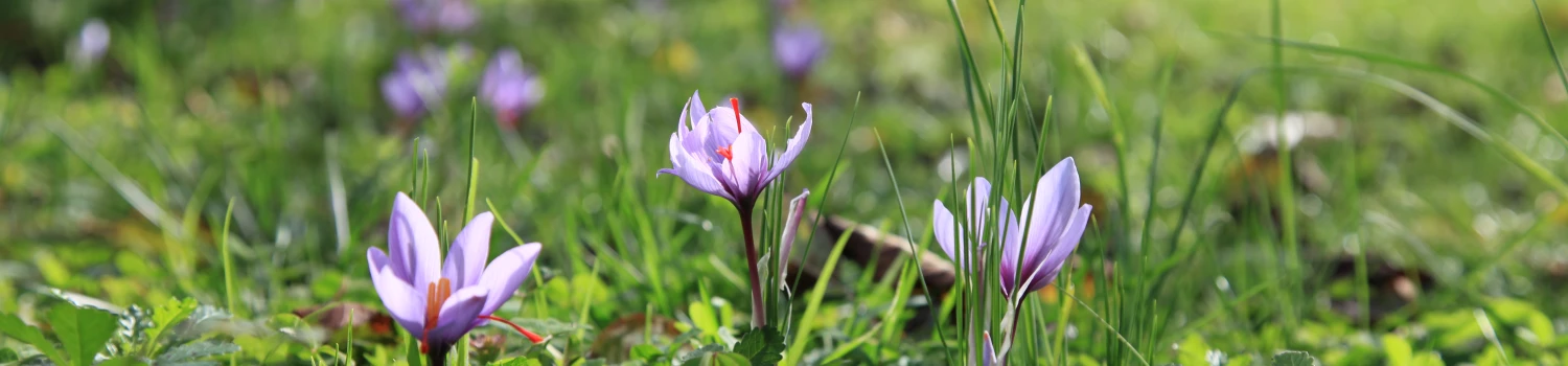 Photo de couverture de Aymeric Kurzawinski