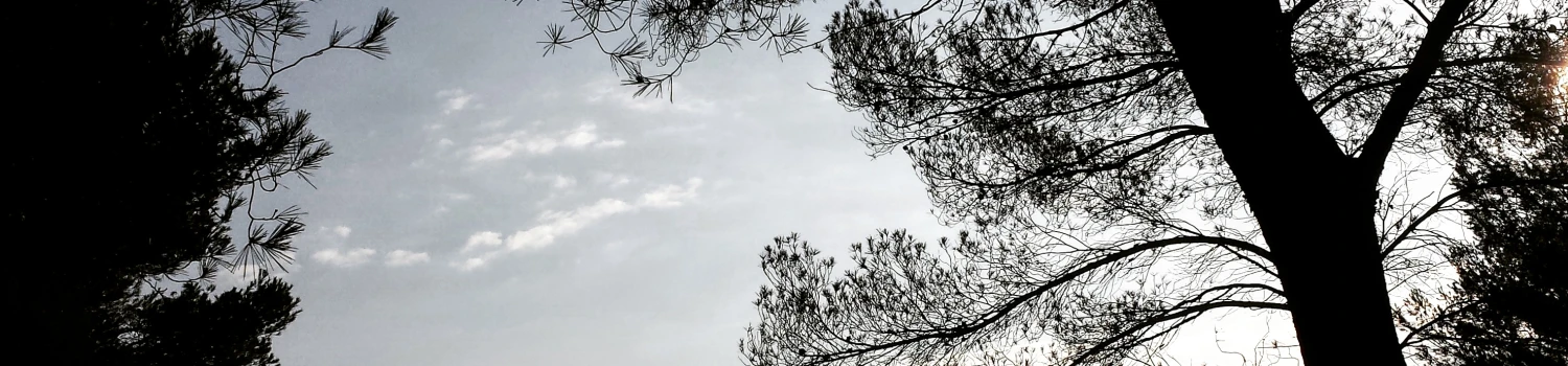 Photo de couverture de LAURENCE BAUDOIN