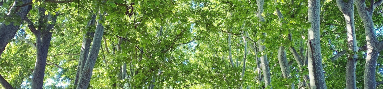 Photo de couverture de Katharina Prieur de La Comble